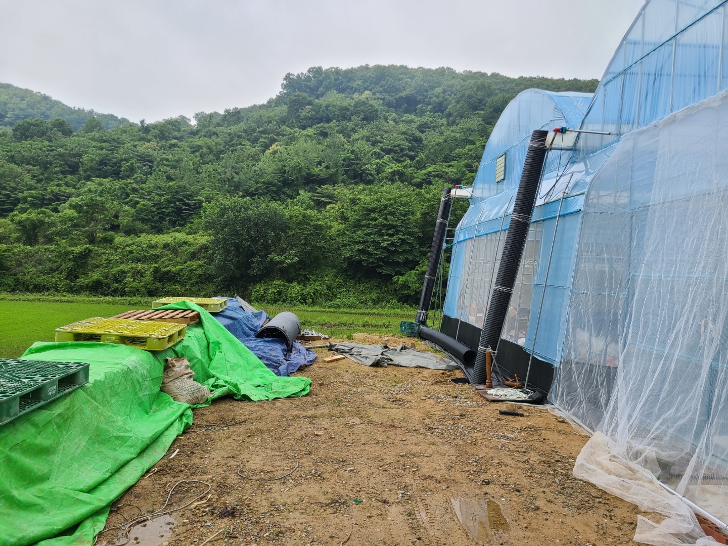 1948697120_0vYZVKEa_4919a7463d3b042d578c6d87b6ebbcbcc8141df0.jpg 이미지크게보기