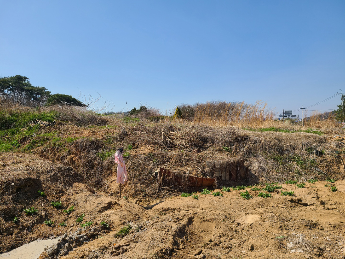 1948697120_2lIkwXpD_4a2730de9401cfb06db81a9021183be7b93c4a7e.jpg 이미지크게보기