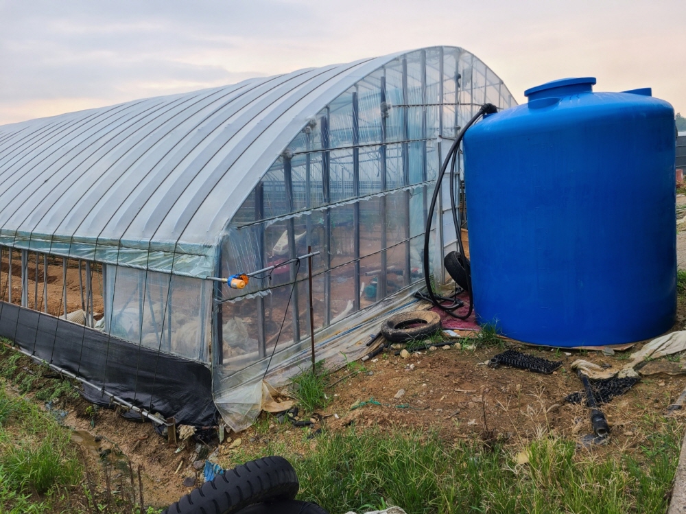 1948697120_5k40t6nL_e0418bedc05cff00a02ff80d6dff0c626976856f.jpg 이미지크게보기