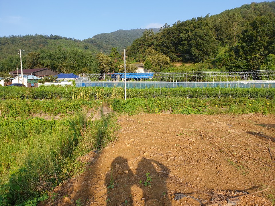 1948697120_ATt98v52_136a5f8ae9690d3a5990ef1465f6b2998c246d09.jpg 이미지크게보기