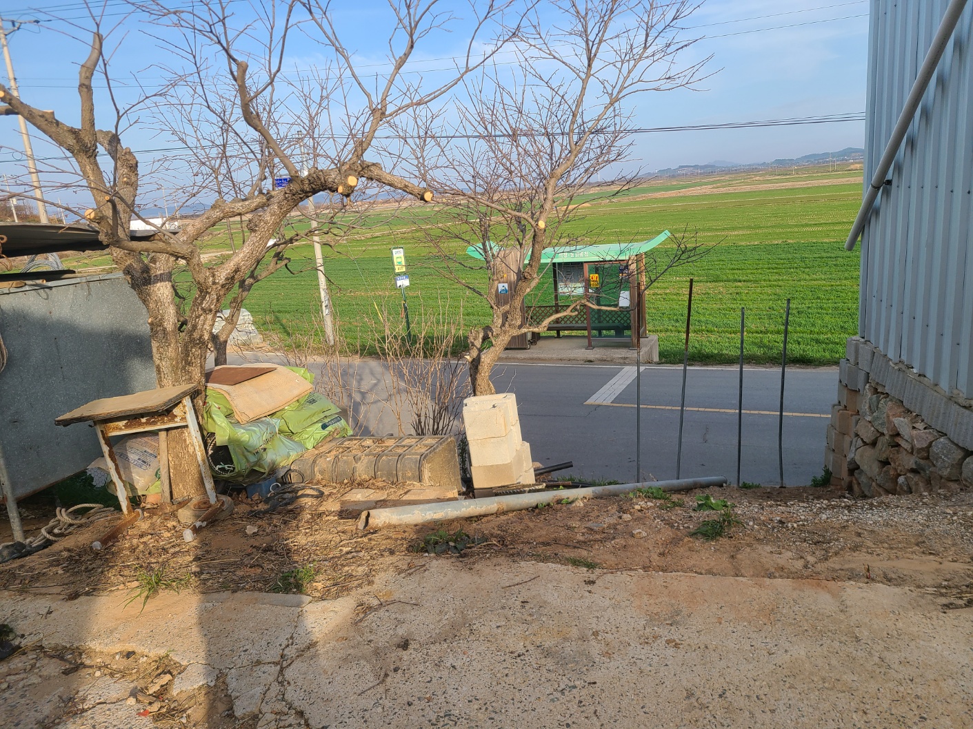 1948697120_BE8D7041_eb545bef716523143c93e5300b268de238e44b03.jpg 이미지크게보기