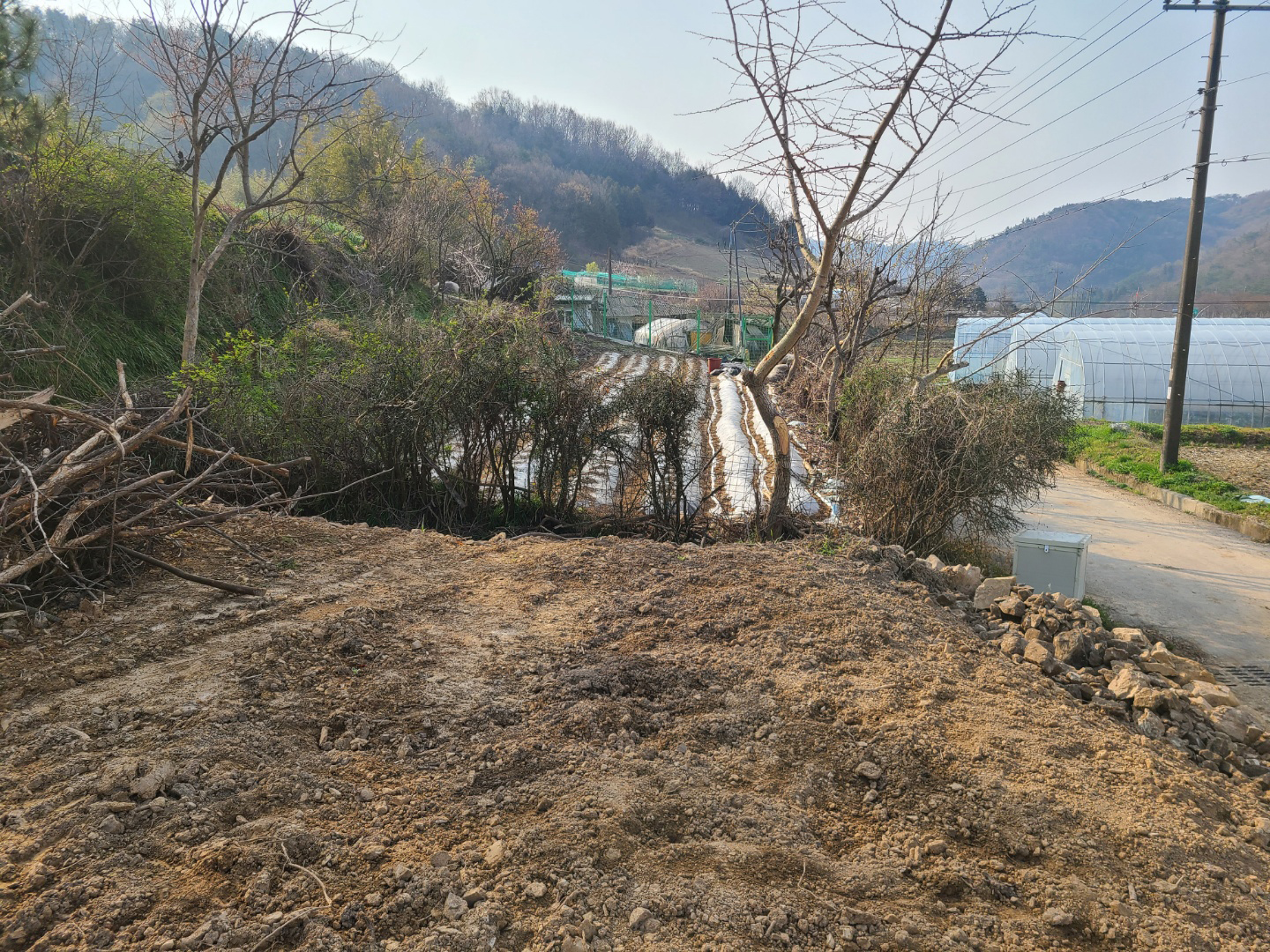 1948697120_Cih0yON8_f5a1e1f5a9b14d1d115313aac718c109fb0f6d3f.jpg 이미지크게보기