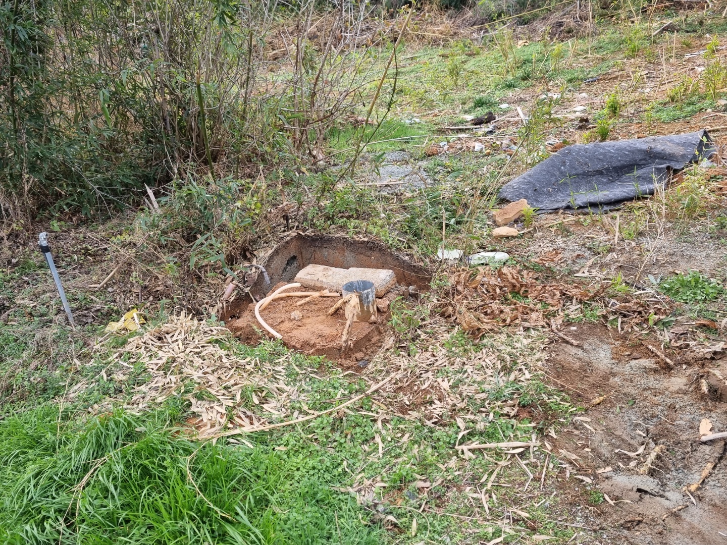 1948697120_FVkpDwa4_b34db71305be202730d2e606d4a6422a3178f1da.jpg 이미지크게보기