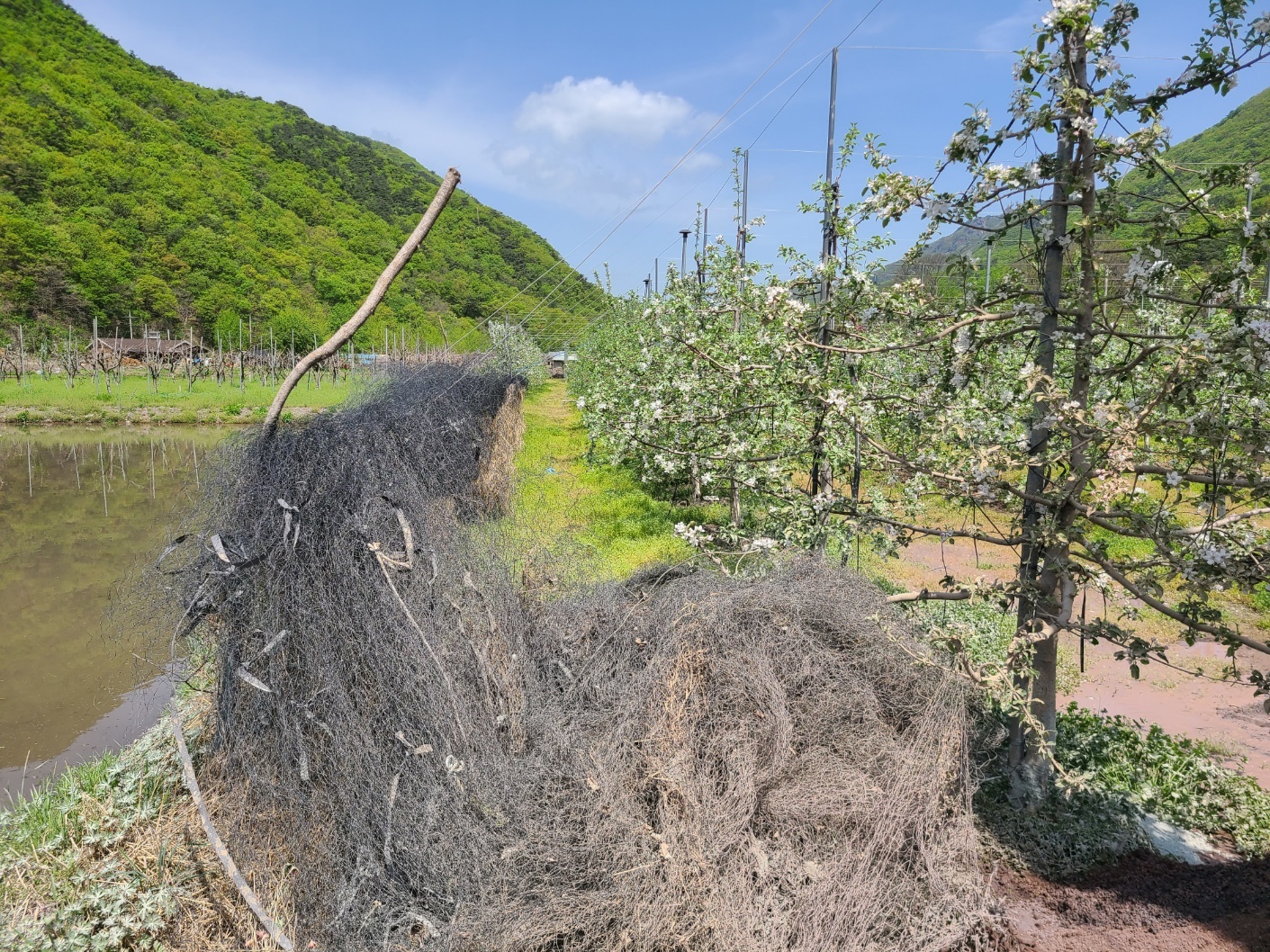 1948697120_HJaqzX4W_36c6ddeb4e4f71ba664d88afe8d8a490d0a5abda.jpg 이미지크게보기