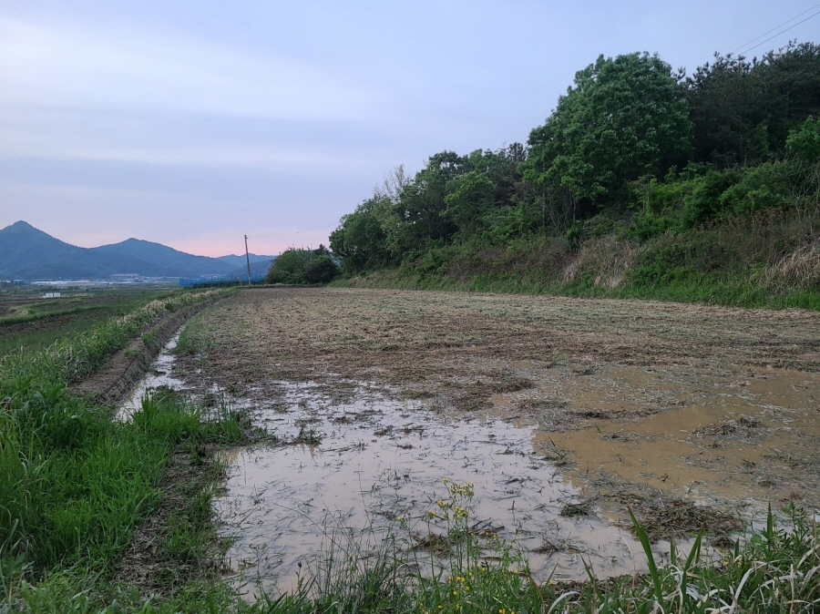 1948697120_HnvEAue8_bab3c067154fe0de1565ba9086a7897b842e14bb.jpg 이미지크게보기