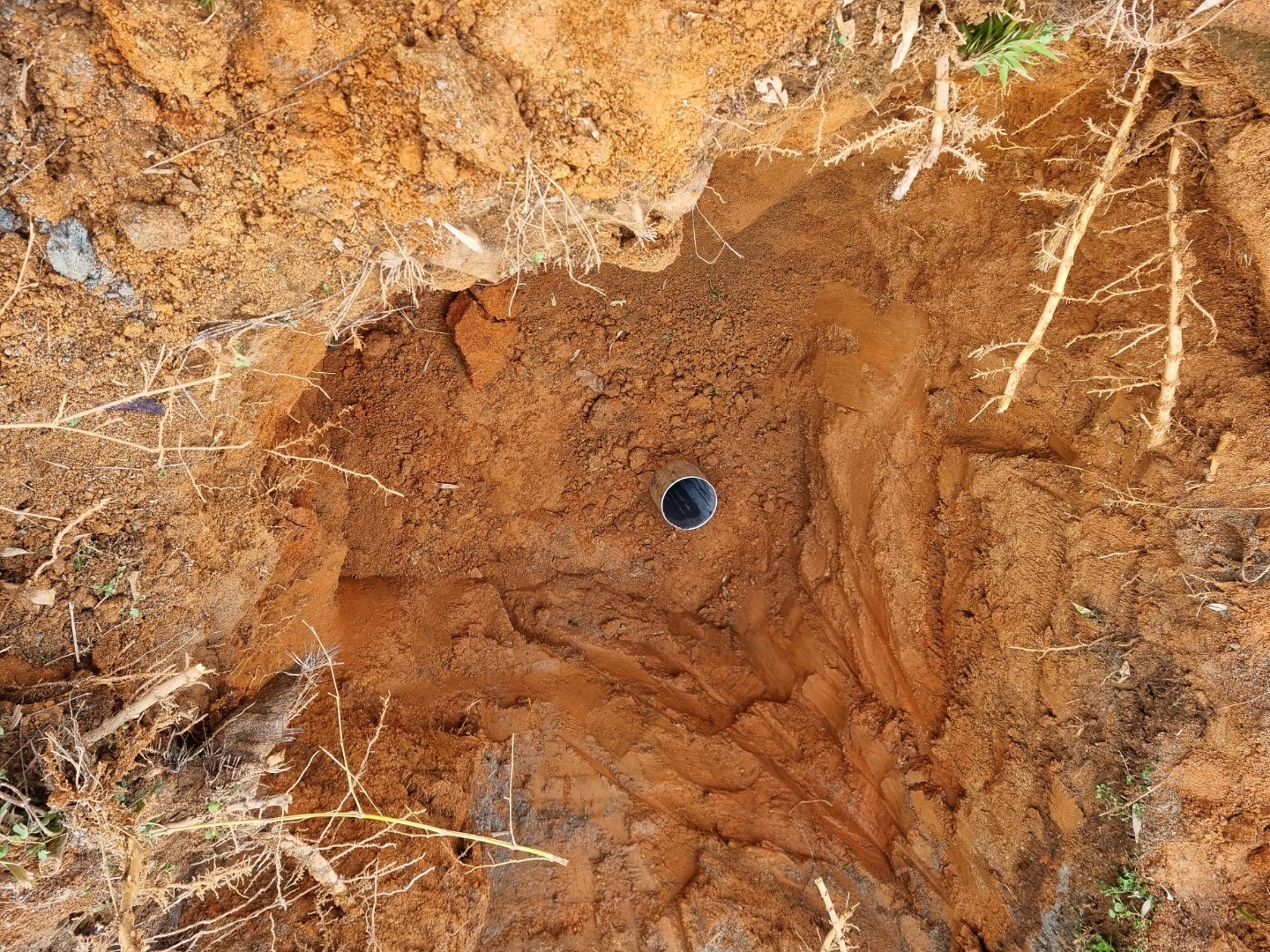 1948697120_JHIf1zEk_b292726ff358b14cf0215f83a834c4ab885c8d16.jpg 이미지크게보기