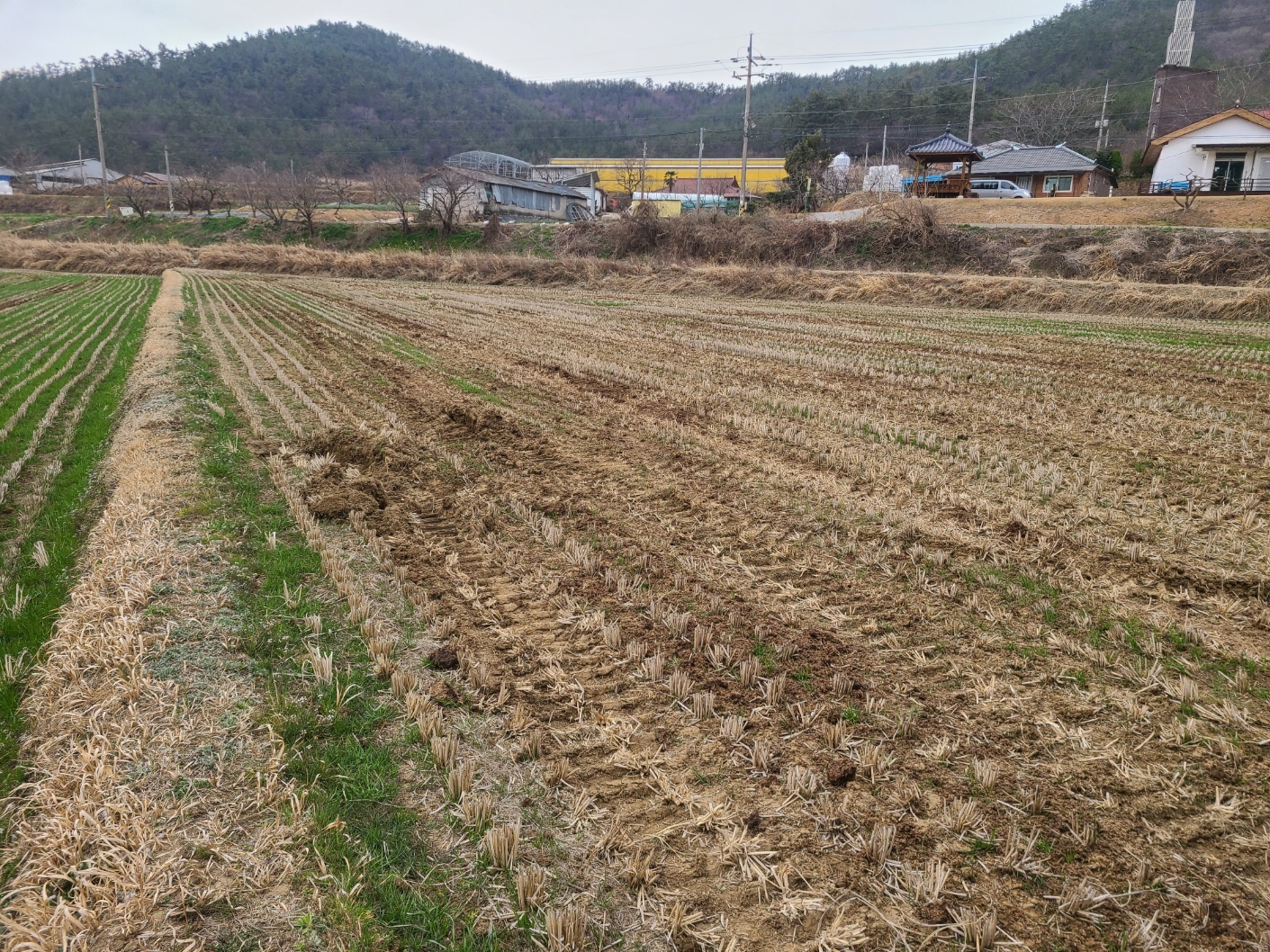 1948697120_JYILdOZX_2c636f6c8b331ab3062937f95216142e68bbaaa1.jpg 이미지크게보기