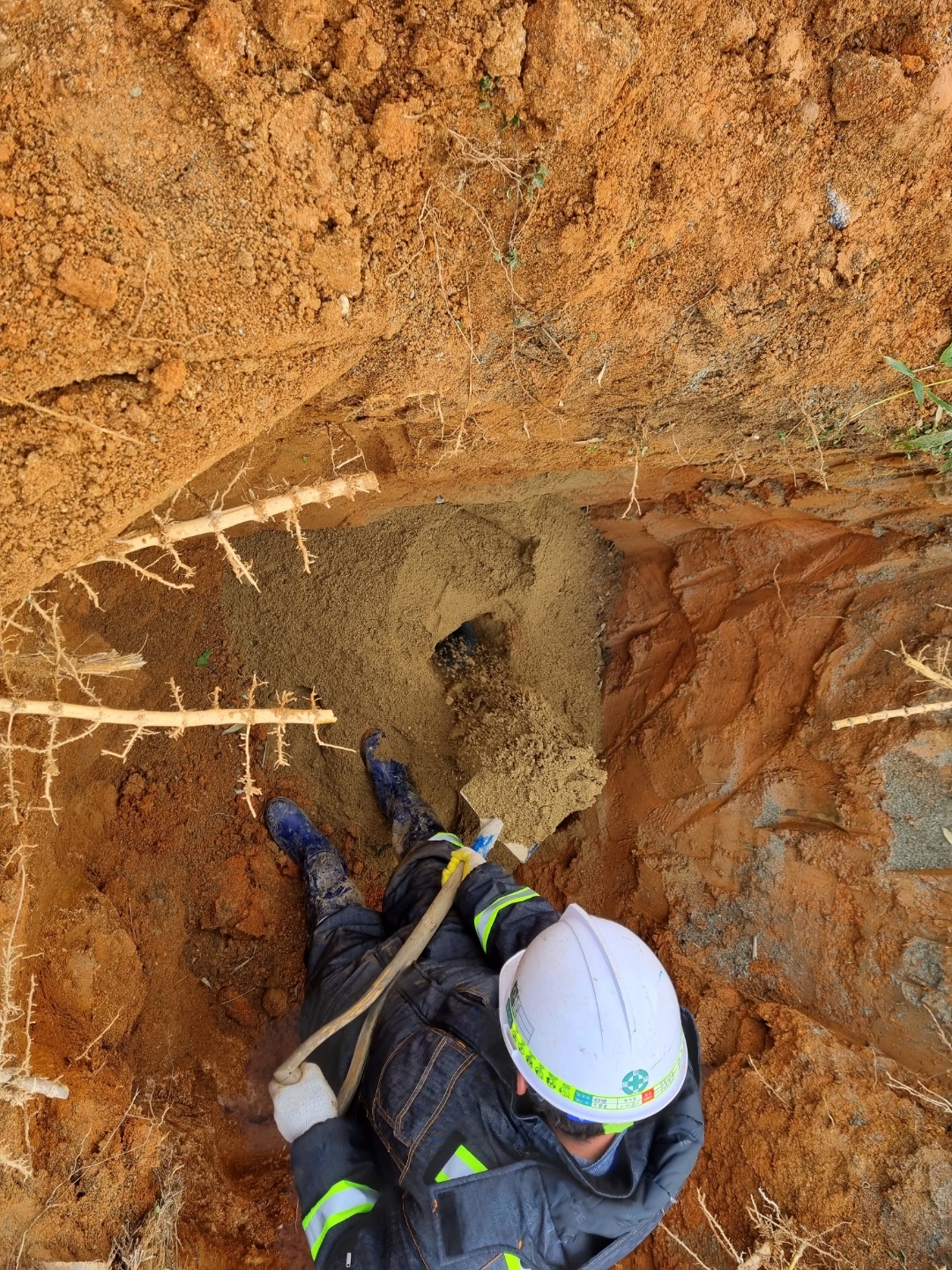 1948697120_L2SJf1ui_d9f12f5a6bf56cef480f3e169aa357f9df4da53f.jpg 이미지크게보기