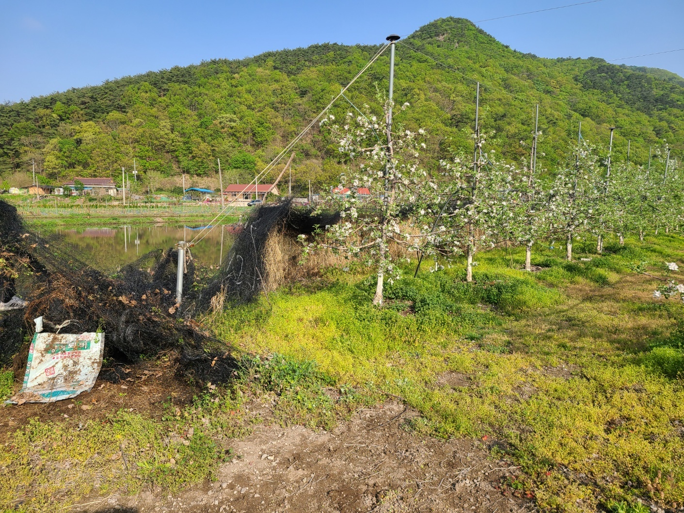 1948697120_S2b0qXvL_1f1718b2a91fb014b36e6253c48ed233bbcad32c.jpg 이미지크게보기