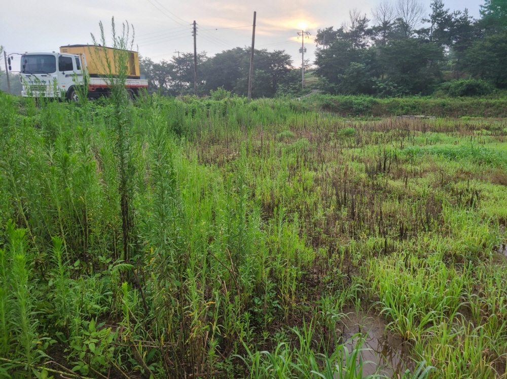 1948697120_TPuLrdMf_1fe3400e0a02af1c6b4992cf1a3584b00f295639.jpg 이미지크게보기