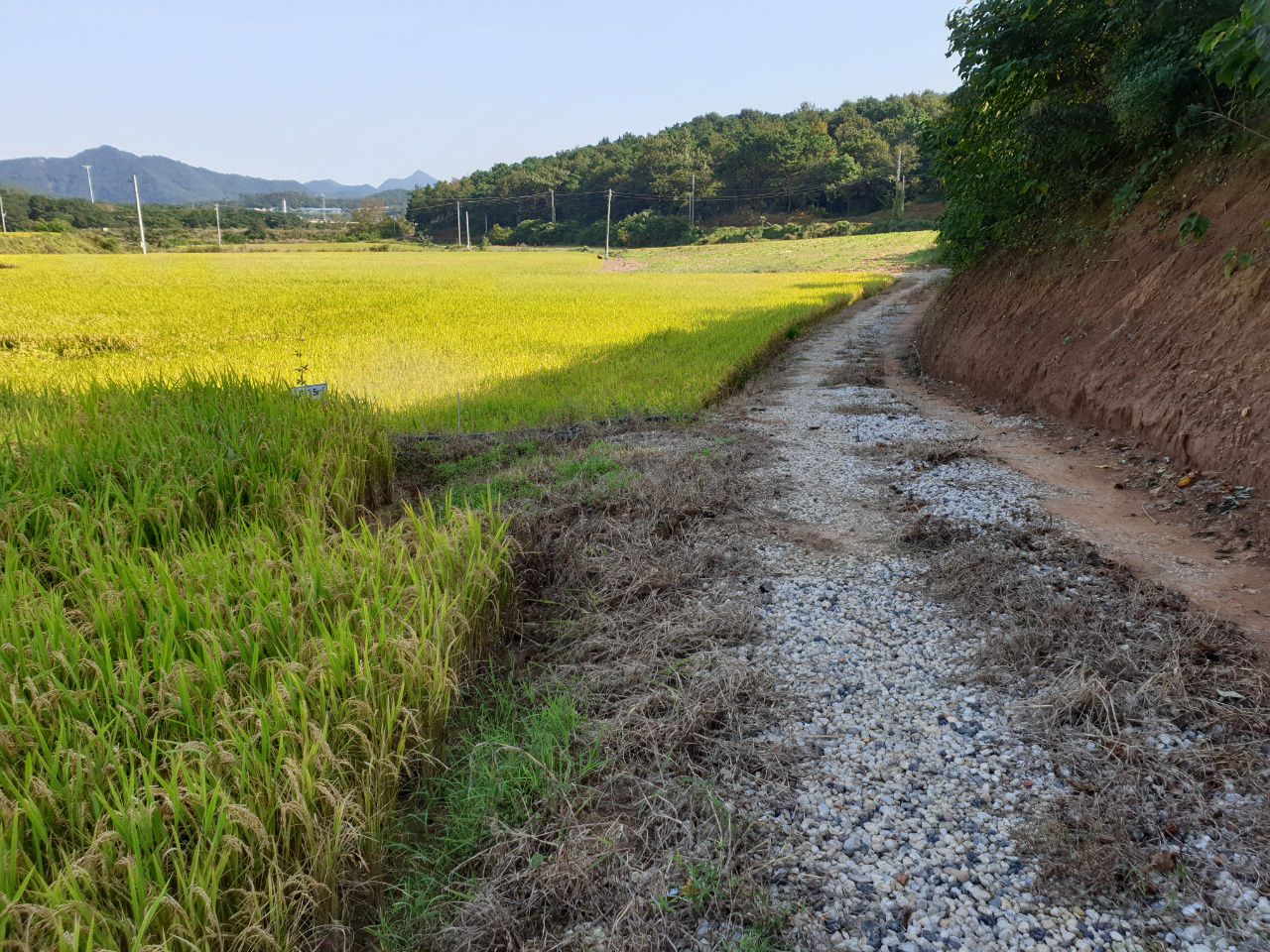 1948697120_Tnbolguz_edeade96788921c031029ba466a7ca64eabf3325.jpg 이미지크게보기