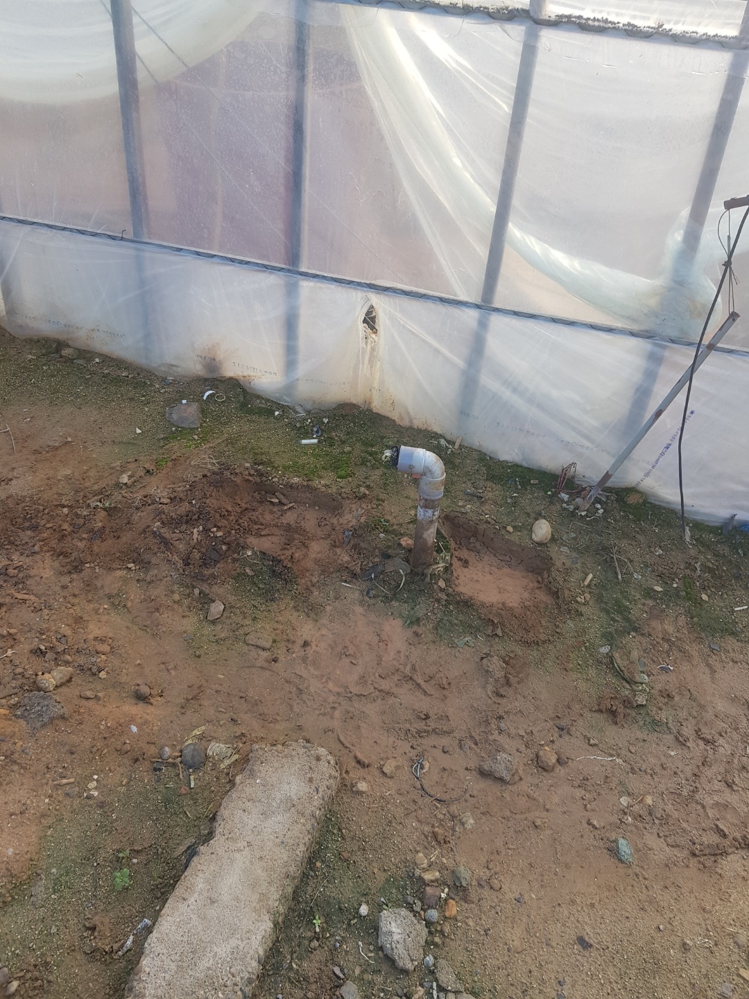 1948697120_Un8WOES4_22905f62e07a4a60effe119b81c1c509f7d37689.jpg 이미지크게보기