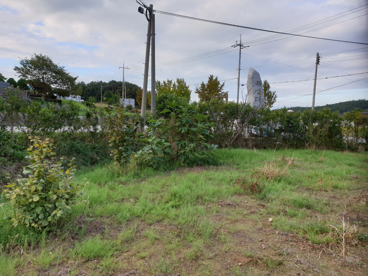 1948697120_VrnXLlxU_8a5877be3e3912da5bfe247a1bedddcdaf3f4cee.jpg 이미지크게보기