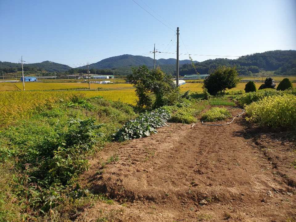 1948697120_aTlYRHfy_1aefdd8e2f109fa6db9c0019a07b504cdadc796c.jpg 이미지크게보기