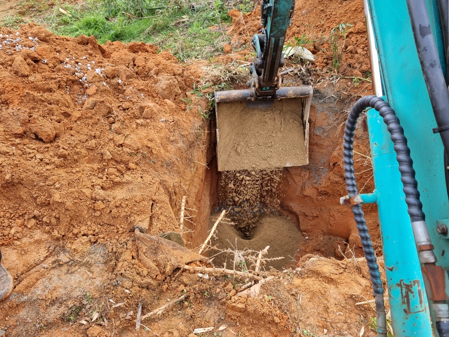 1948697120_bp28mtuc_207ab28524c4ecfdeb0dc8ba6b908dd1d24a50c9.jpg 이미지크게보기