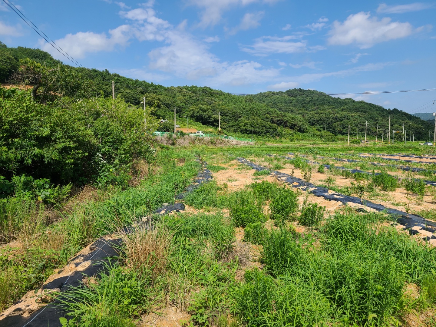 1948697120_dK486mXH_d76a724b1a43777fe6bbff776dae5edfd2df8e0e.jpg 이미지크게보기