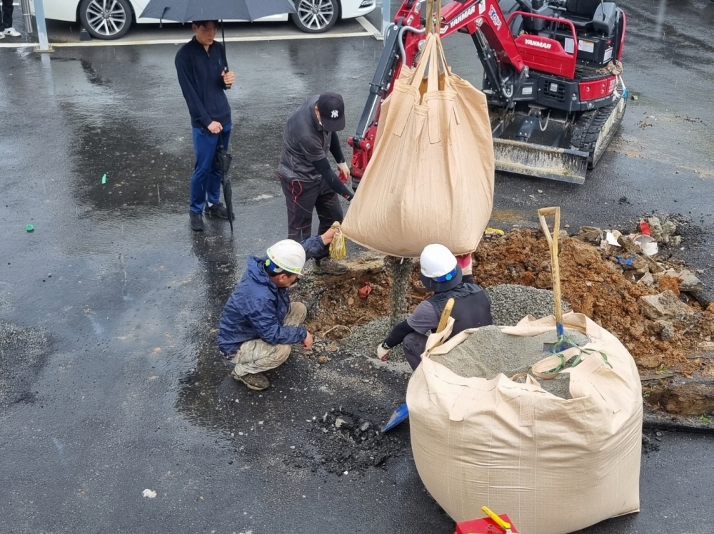 1948697120_eJfyU0LT_d3da3d706fa77feb7f623910b524561413896886.jpg 이미지크게보기