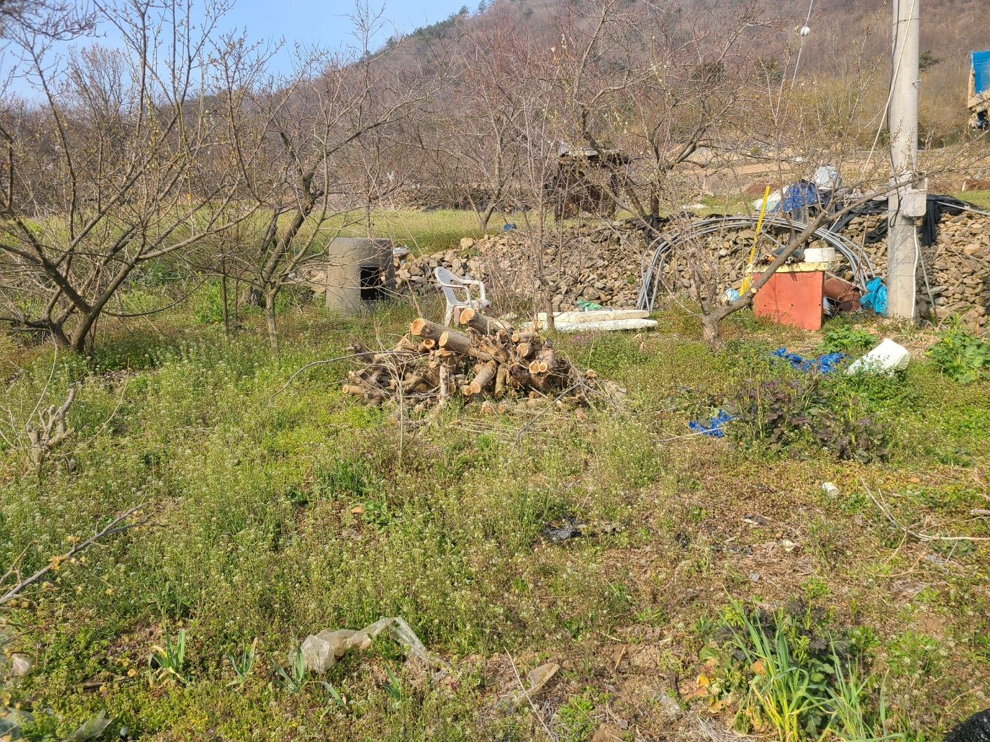 1948697120_lHpQOhDd_177b11e129614f3c532bd84045a0927c77ed15cc.jpg 이미지크게보기