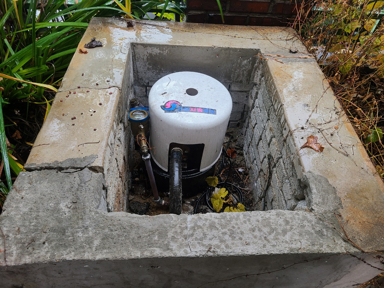 1948697120_sPxYmJ29_c860782d571aa8b335c9aad77a21321c66530858.jpg 이미지크게보기