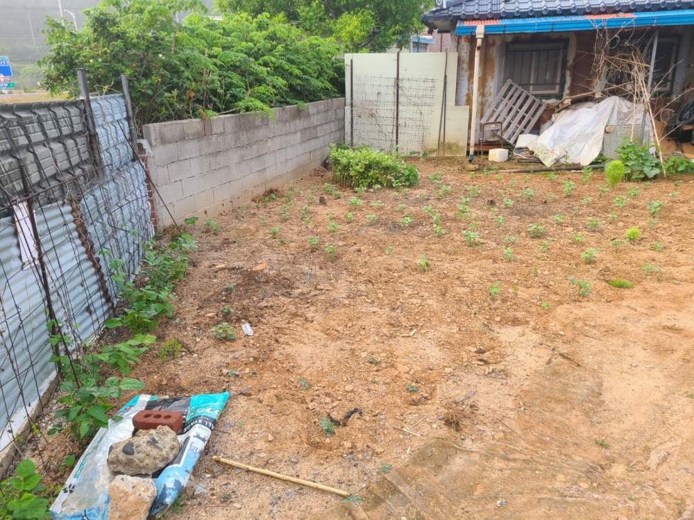 1948697120_t3MfPviT_759e0336b4dffd20fe097c057ae3be46d89aabe2.jpg 이미지크게보기