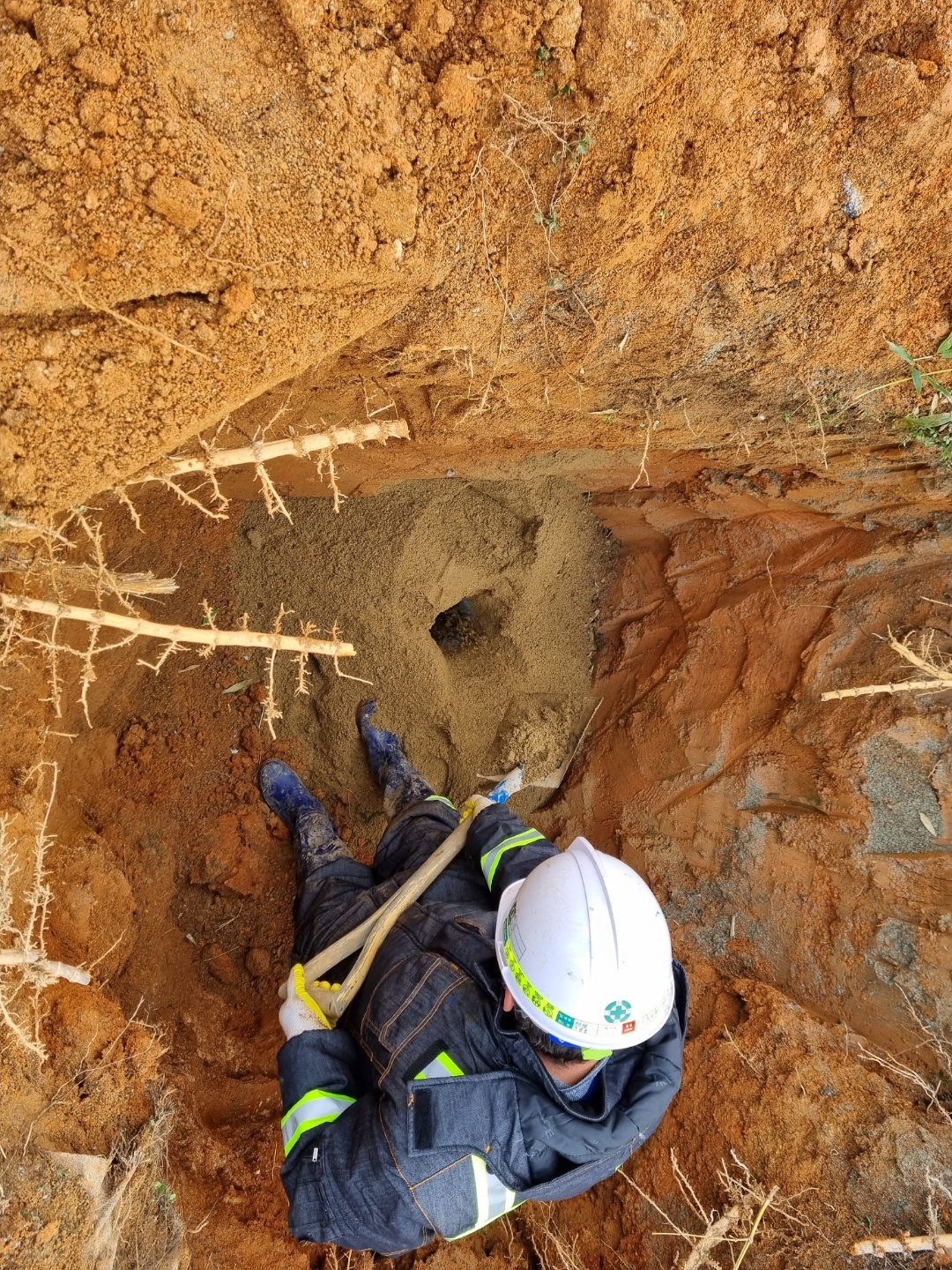 1948697120_uBJLAGgR_5afef36936a9991b948a949837dbd4ecb26f652a.jpg 이미지크게보기