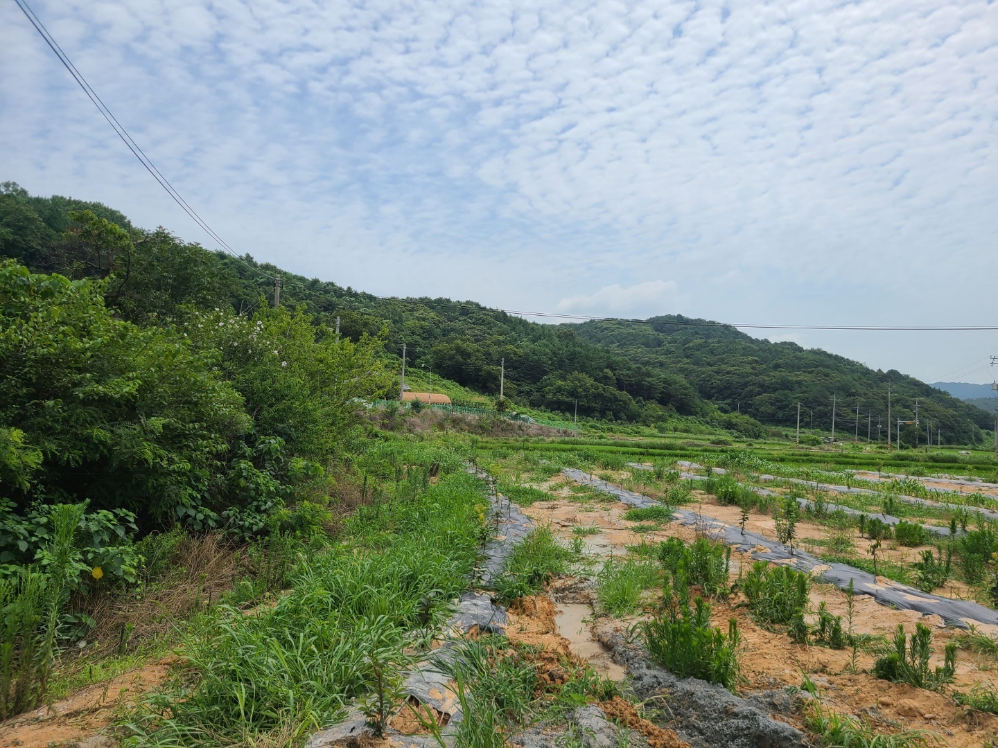 1948697120_v74xtIGc_4a69630c96ba2b84bc634e2a22d29cfe3f976f1d.jpg 이미지크게보기