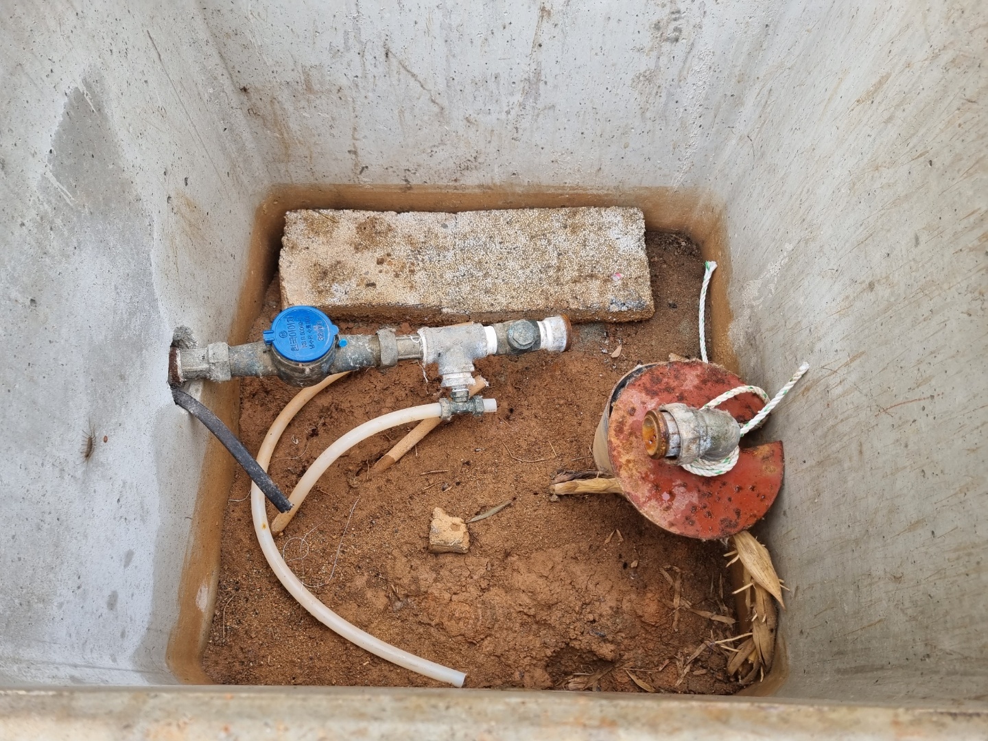 1948697120_vV5Dwnd1_4df72927ac07eea3a1db96f5a5a60d2a0851ab3b.jpg 이미지크게보기