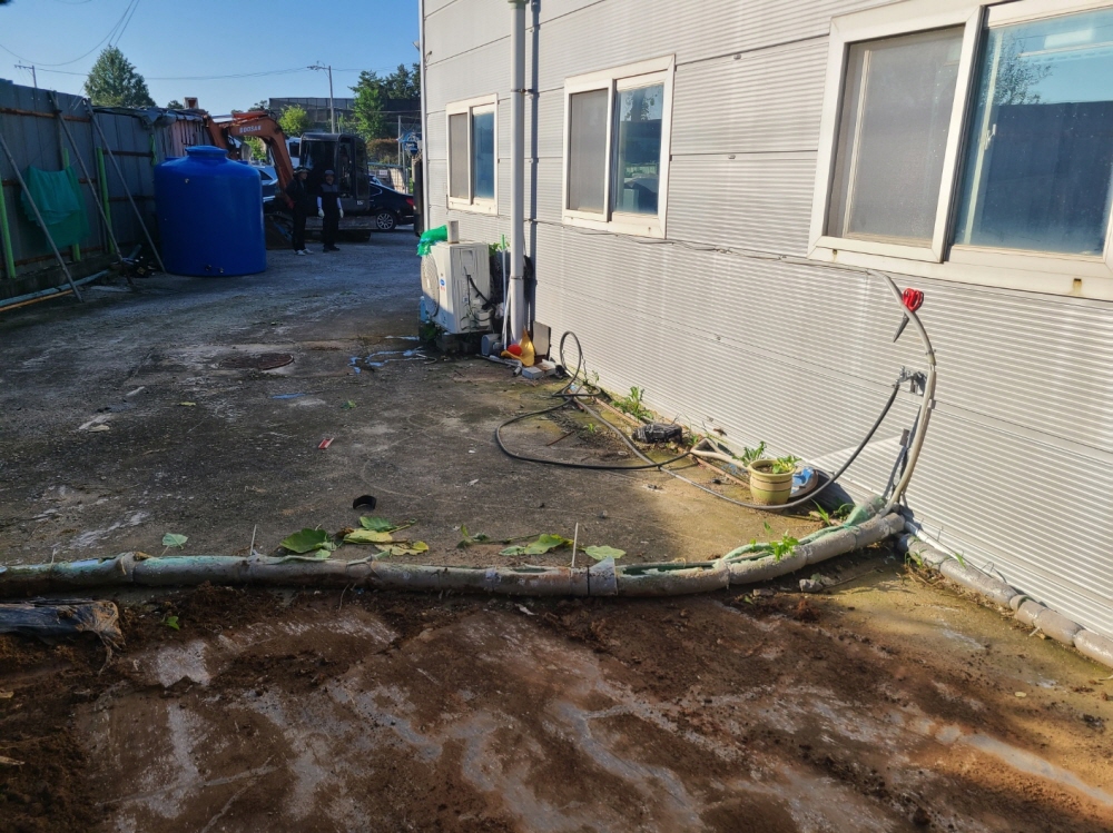 1948697120_wDgeLa7s_6786fcf37c3e713007fb4c24ace926796d8158bc.jpg 이미지크게보기