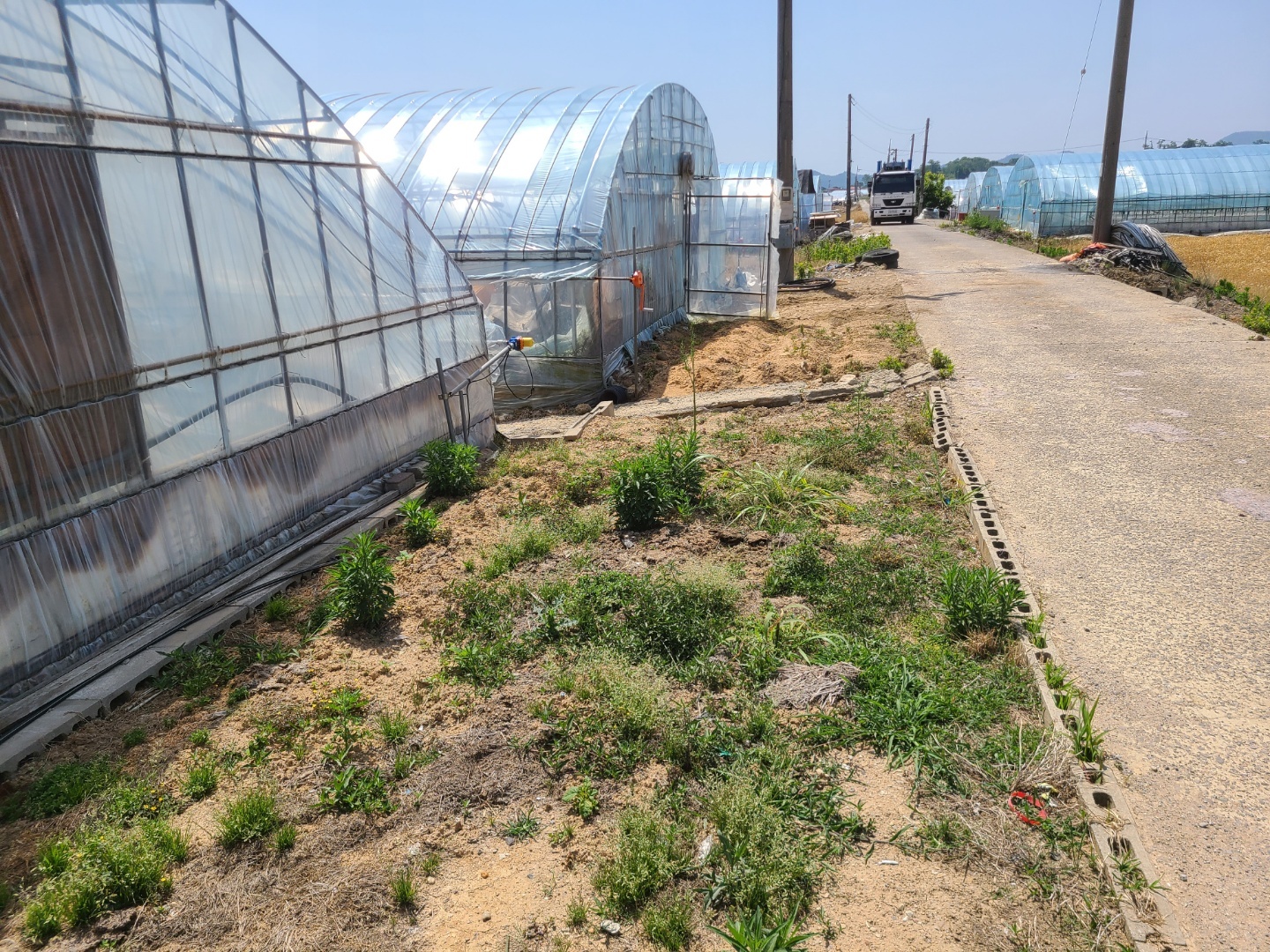 1948697120_xDNmuoOX_233bff0fdab8bb24ffd8e03de82e8021fd6fd8ca.jpg 이미지크게보기