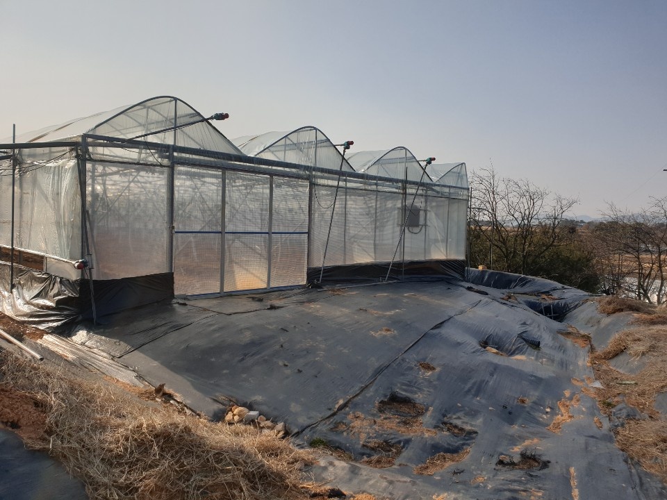 2000769928_3vWBAUwP_98b2cb032d447da828a53cb0978a87567964fb8b.jpg 이미지크게보기