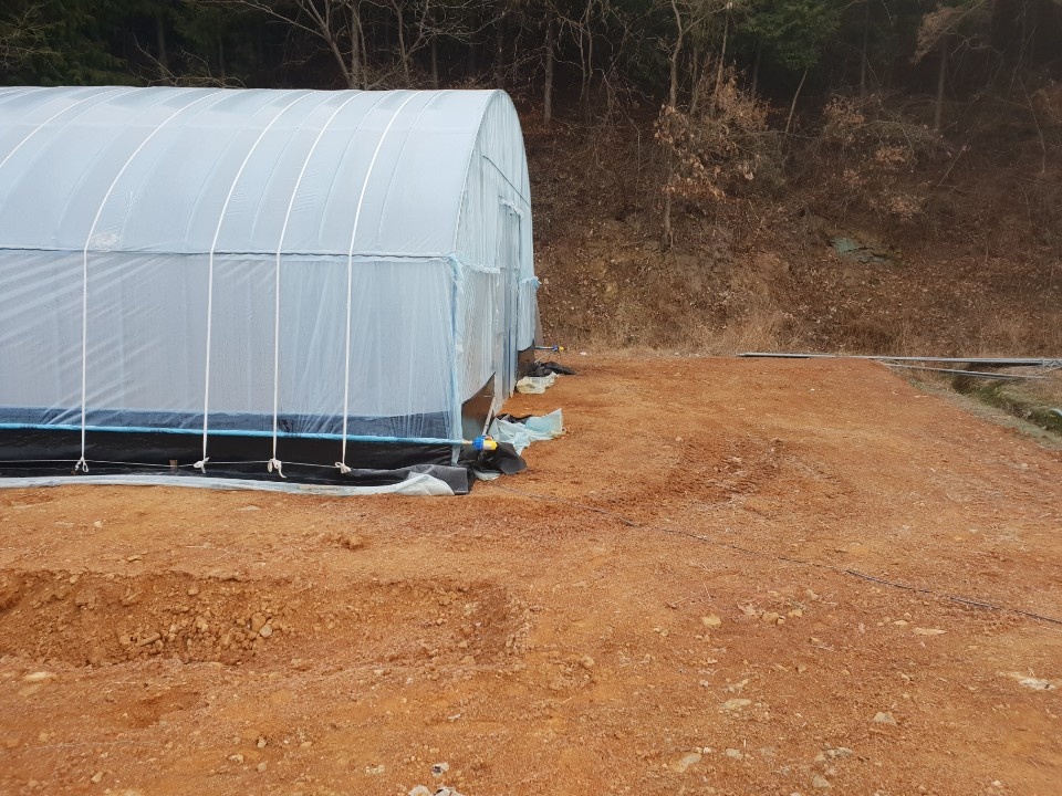 2000769928_RTSs6VzA_a049b5c7db8185bbc0a60e7cea3a2956a3bb0146.jpg 이미지크게보기