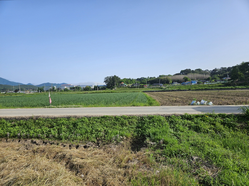 2041739077_AWIt46bS_589ca6c262a1ba467afedabbfbe55a35a23bc730.jpg 이미지크게보기