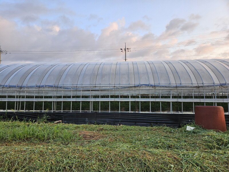 2041739077_Foi0NcRA_934c411859d2f547bacb9d45a2cf2ee5578932ba.jpg 이미지크게보기