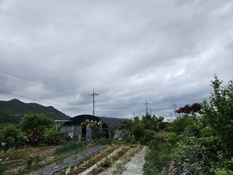 2041739077_HgPIrZma_235b347745791afed9849c67b585e39357b78602.jpg 이미지크게보기