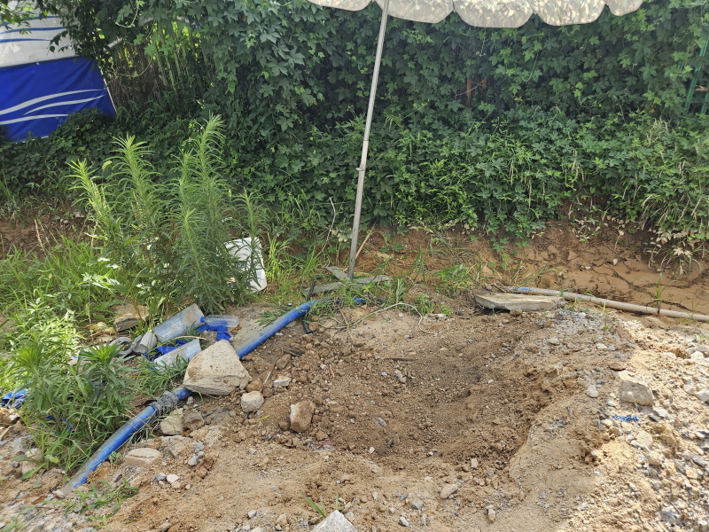 2041739077_XgyrBYLG_200e283e3a2fd393100e6b9f41ea73e18c1651f2.jpg 이미지크게보기