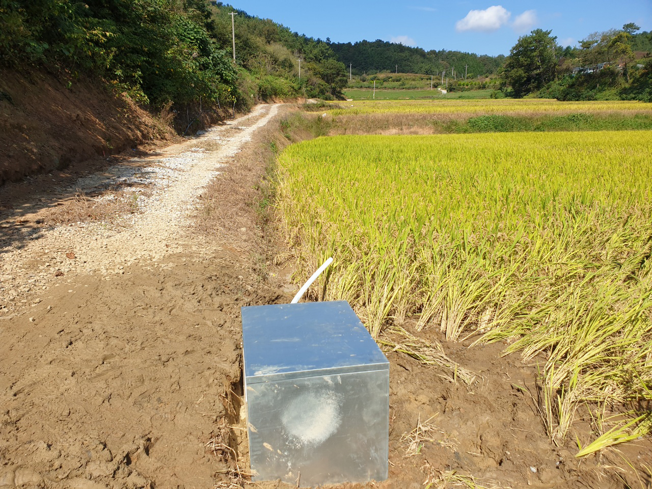 21781_copy_21787_1948697120_arQMd4RK_f20aeb5f1f46810d2c40489d9678556ff8bc89c7.jpg 이미지크게보기