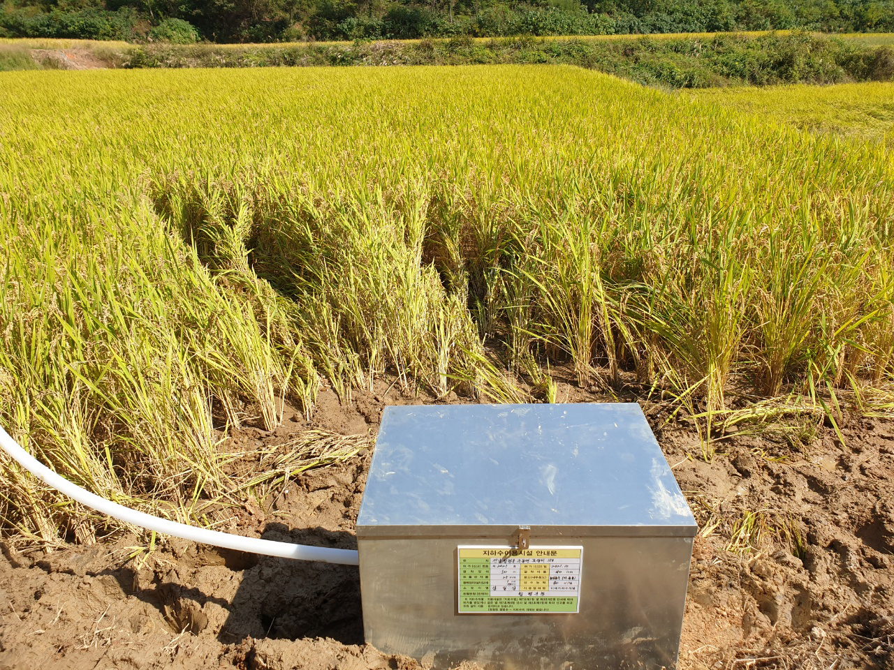 21781_copy_21787_1948697120_oR1K4yFS_51c25fc329aba5b2fb413e6b667f2c19fdbc67f4.jpg 이미지크게보기