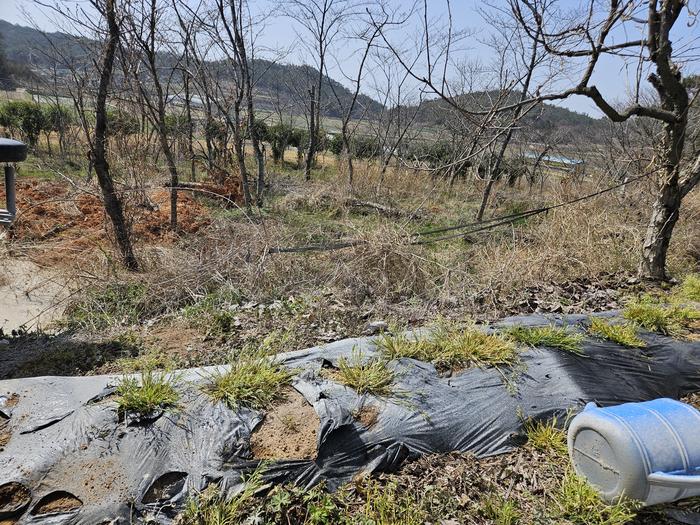 235149625_fHkSXiqU_b95d1ee493c800eb5afd668a170bc42f6ac8bd15.jpg 이미지크게보기