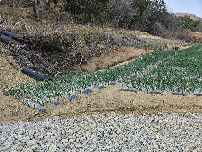 235149625_swyq9BlN_285065d8b0f8c3db9981d3138d58935439e5e50b.jpg 이미지크게보기