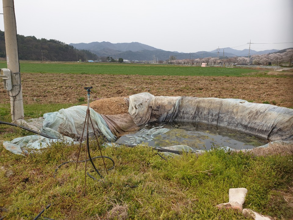 3034632970_XriGCbUZ_32b61619fda26aeb2ad0698a7d862e5e8d4fe61d.jpg 이미지크게보기