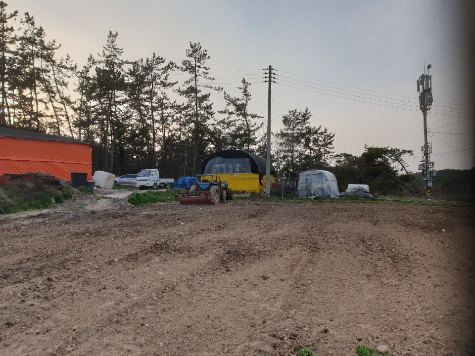 3034632970_lSzdjO20_1e707616cfd0b881068e852908e3fa02ac56e008.jpg 이미지크게보기