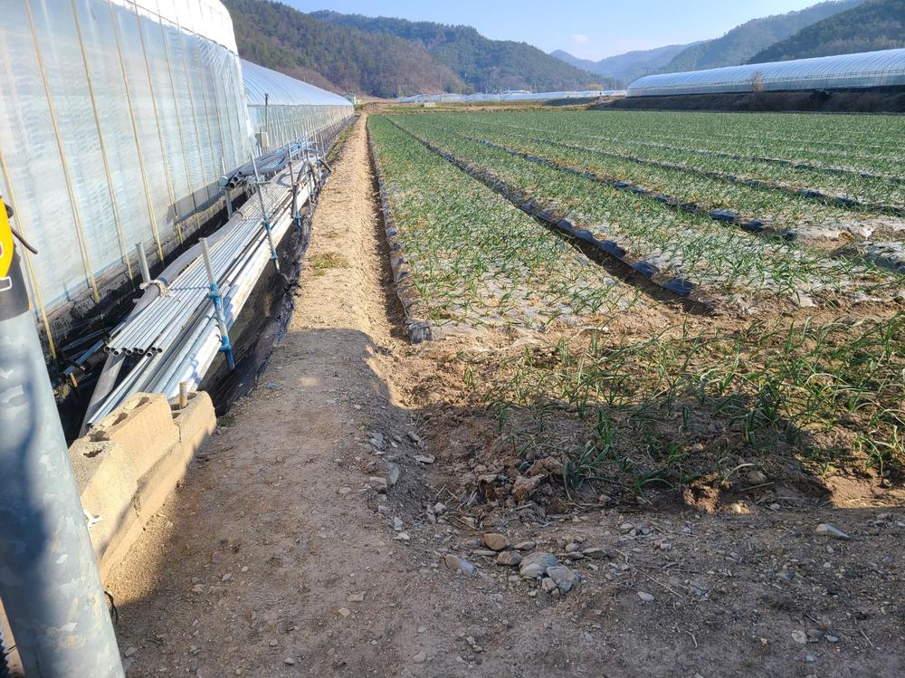 3695294320_2PSsntRg_72fff22500fa2e2932195952948d366abd1afe66.jpg 이미지크게보기