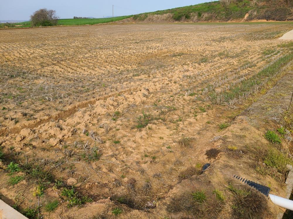 3695294320_8NmQ9PvG_f03ed3b4d57a0a2d7b2a585218136baf2de956de.jpg 이미지크게보기