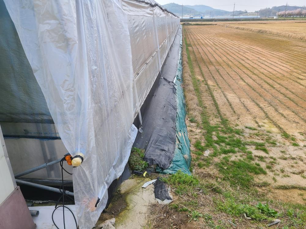 3695294320_ACD0U2rc_25c637a2b60f4b4d4419344d9229ede835144ad9.jpg 이미지크게보기