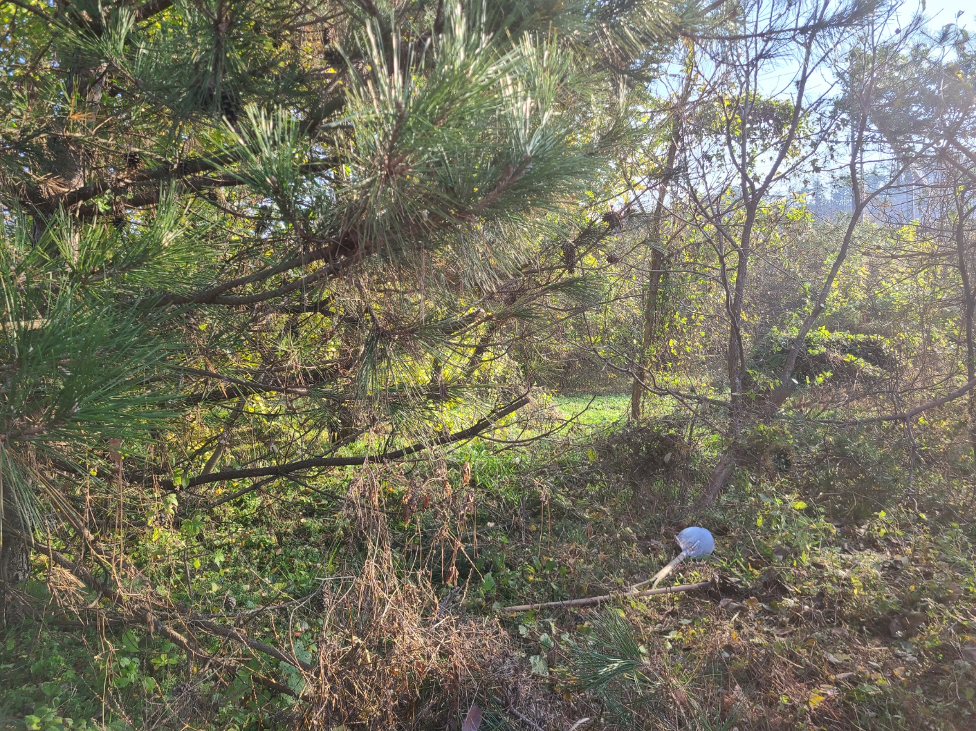 3695294320_IQ0tN98k_58162e5a8b3c1b157f12f74ae028fa28cbb53464.jpg 이미지크게보기