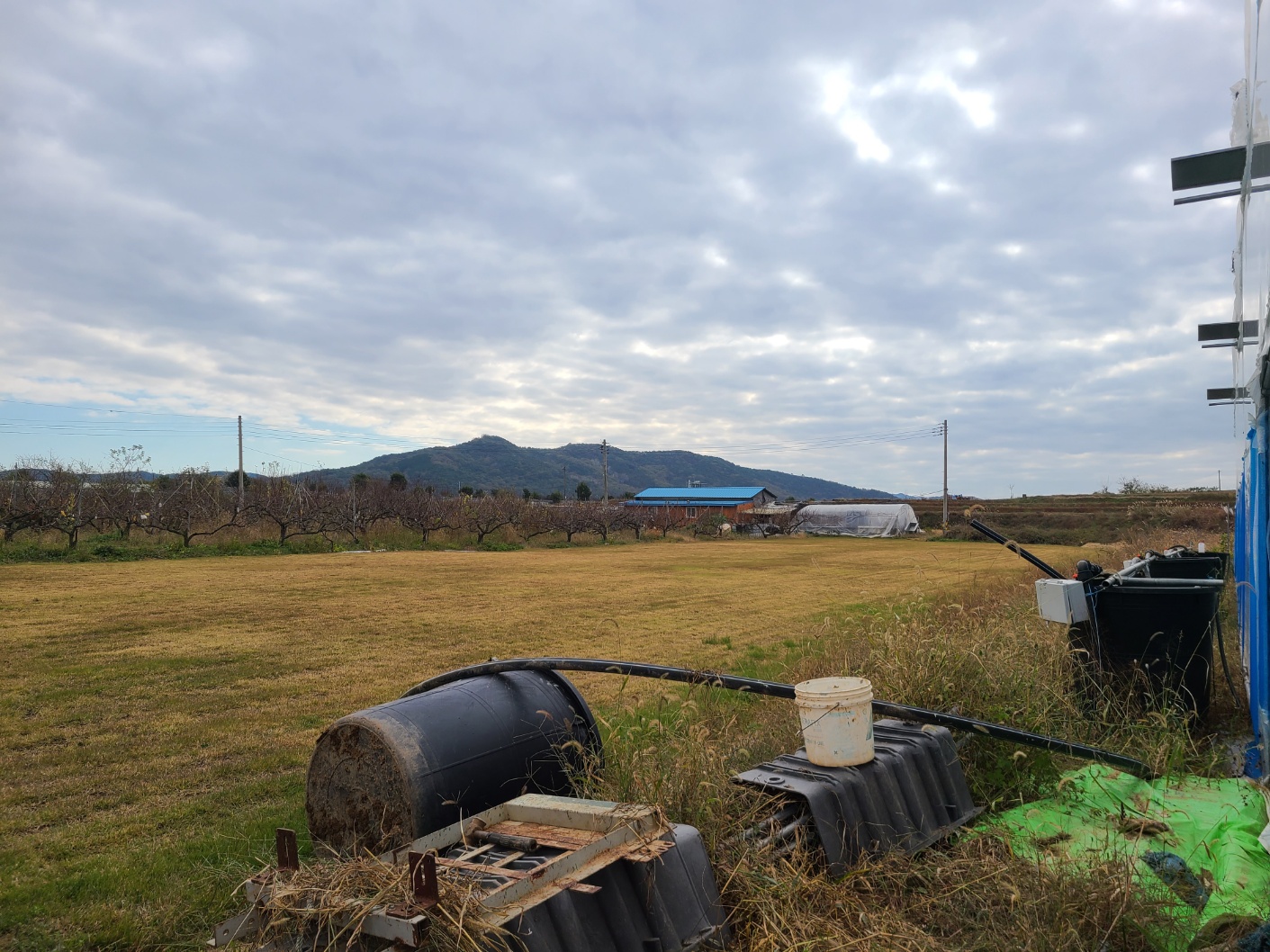 3695294320_JyVtmvOS_cb65a21173258cceabec16269d1485458d780be8.jpg 이미지크게보기