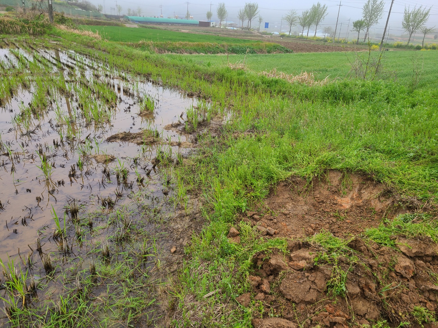 3695294320_Y9yUVFWH_4001c986eba6b69624b782705f4ee0361be341f7.jpg 이미지크게보기