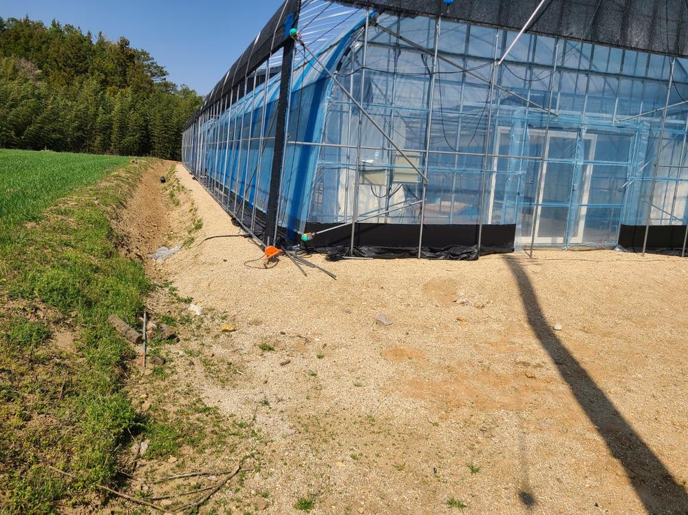 3695294320_pjd2THoy_4e0b70d2391802c382d773294dc2a3a2524c4124.jpg 이미지크게보기