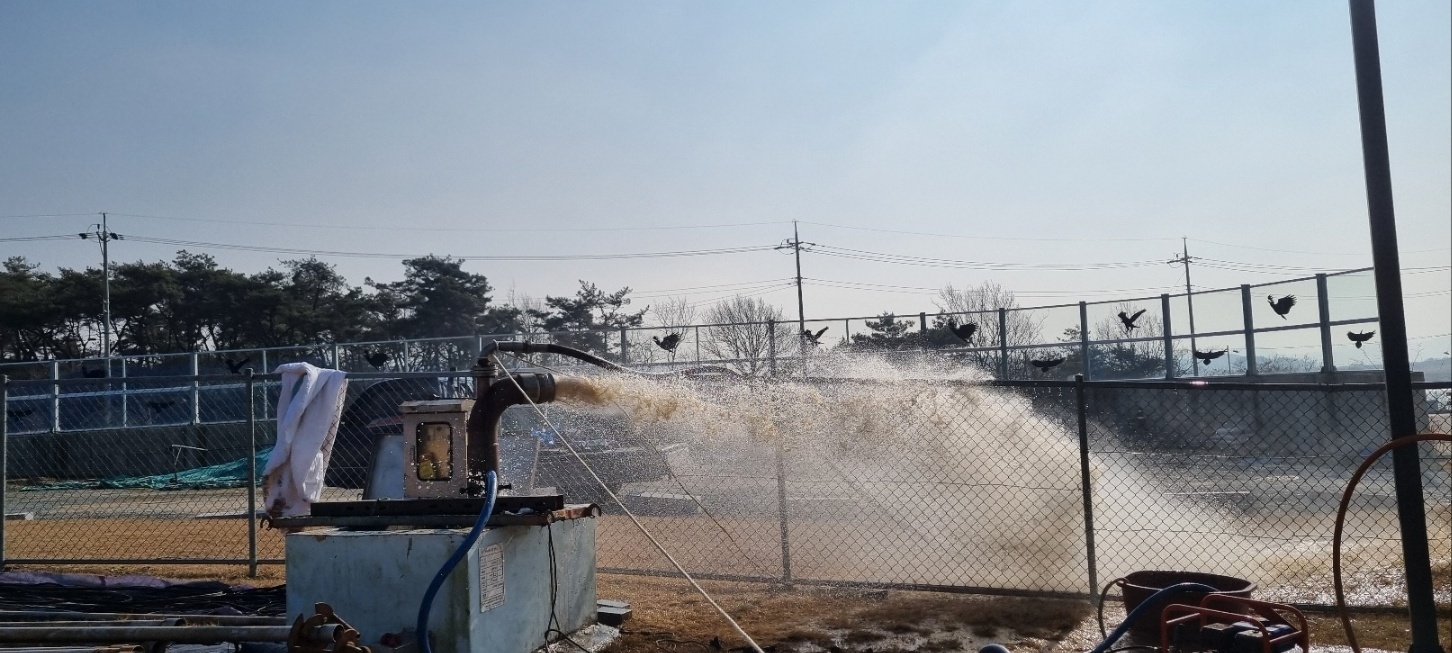 3695294320_yTtPpeXN_a7f13f48aa331317a180c32096ca37fd1cbbc4be.jpg 이미지크게보기