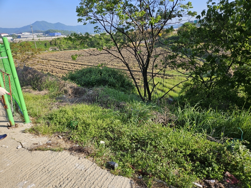 990073733_BQCxdJgf_2b2f7ffc232602cbf2e6675f61231e2efc9c1e20.jpg 이미지크게보기